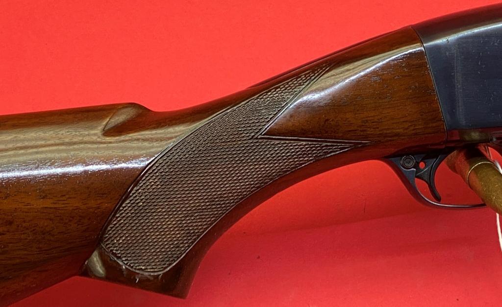 Remington 29 12 ga Shotgun