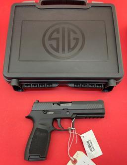 Sig Sauer P320 .45 auto Pistol