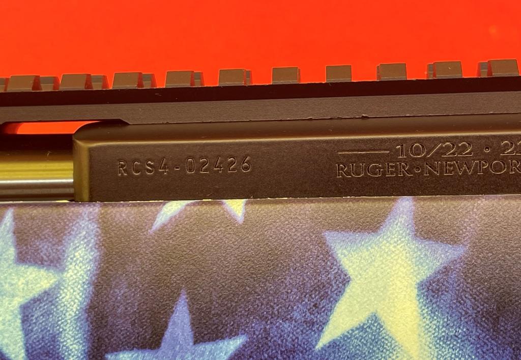 Ruger 10/22 .22LR Rifle