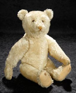 German White Mohair Teddy by Steiff in Larger Size 2500/3500
