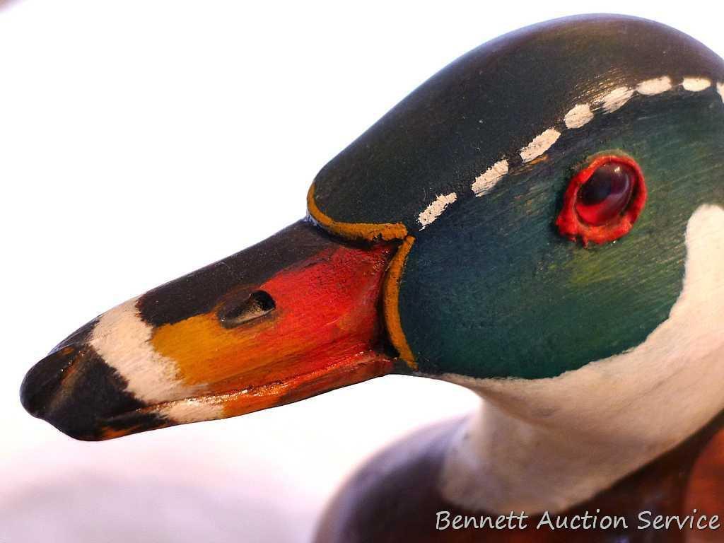 Wood duck carved out of pine by Irv Phillips. Approx. 14" long with nice color and details.