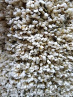 Cavlier carpet remnant, 12' x 9'. Please come to open house to see the color.