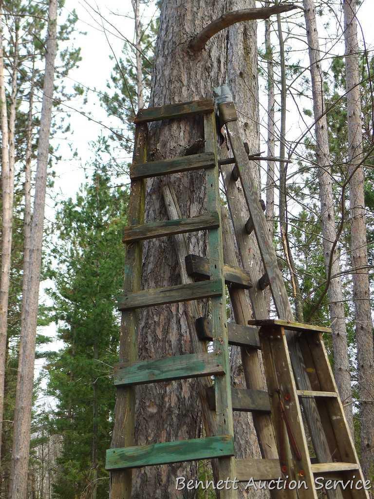 Four wooden ladders including three homemade ladders up to 12', and one 8' folding step ladder.