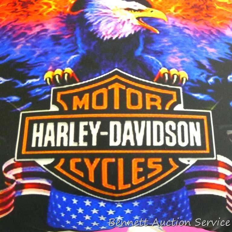 2 Harley Davidson pillows including a bed pillow with case 26" x 18" and 16" x 16" throw pillow.