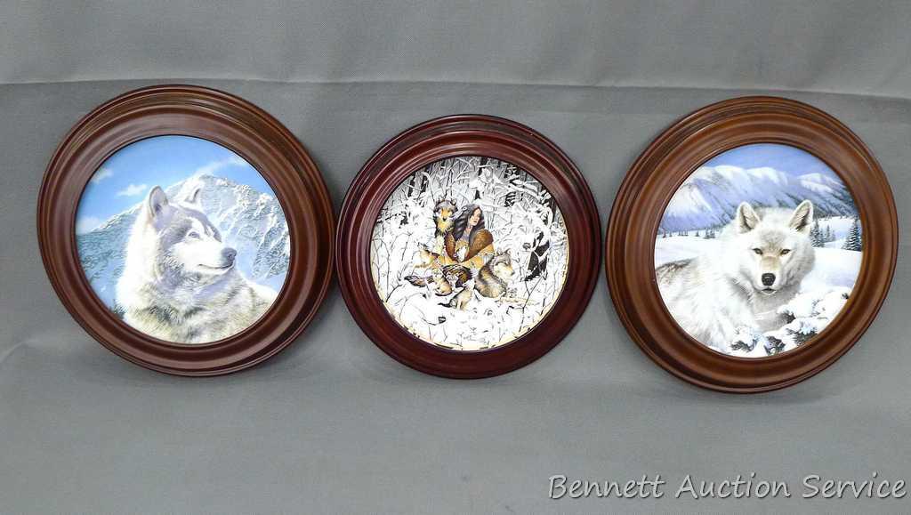 Framed collector's plates including Bradford Exchange 'Native Harmony', 'Solitary Watch' and 'Timber