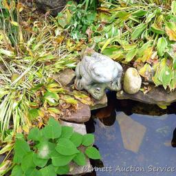 Concrete frog is approx. 15" and can be set up as a fountain.