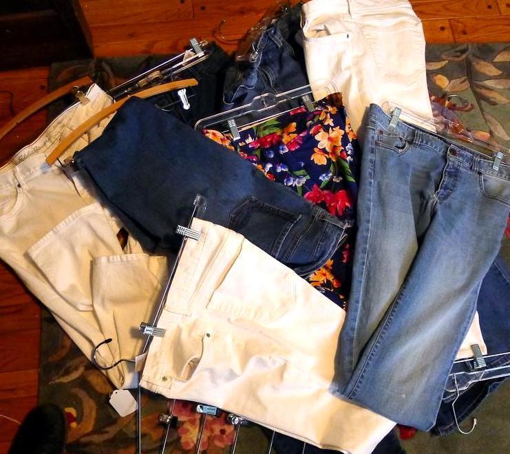 Ladies pants mostly size 12, some size 10. Some blue jeans, some dress pants. Brands include Eddie