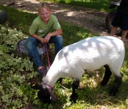 Makenzie Lyons - Oreo is 134 lbs.  Price is per pound.