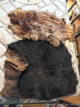 Located upstairs, bring help to remove. Beaver pelt is approx. 2' x 15", piece of bearskin is
