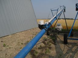 7" x50' Brandt 750 Auger w/ new 16 H.P. Briggs Elec. Start Motor