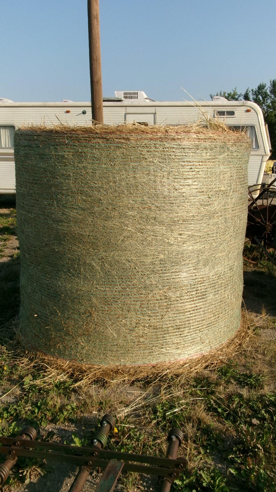 34-1400 # ROUND BALES OF REED CANARY GRASS located at Oklee, Mn. (BID x 34)  ph. 432 813-5037