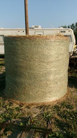 34-1400 # ROUND BALES OF REED CANARY GRASS located at Oklee, Mn. (BID x 34)  ph. 432 813-5037