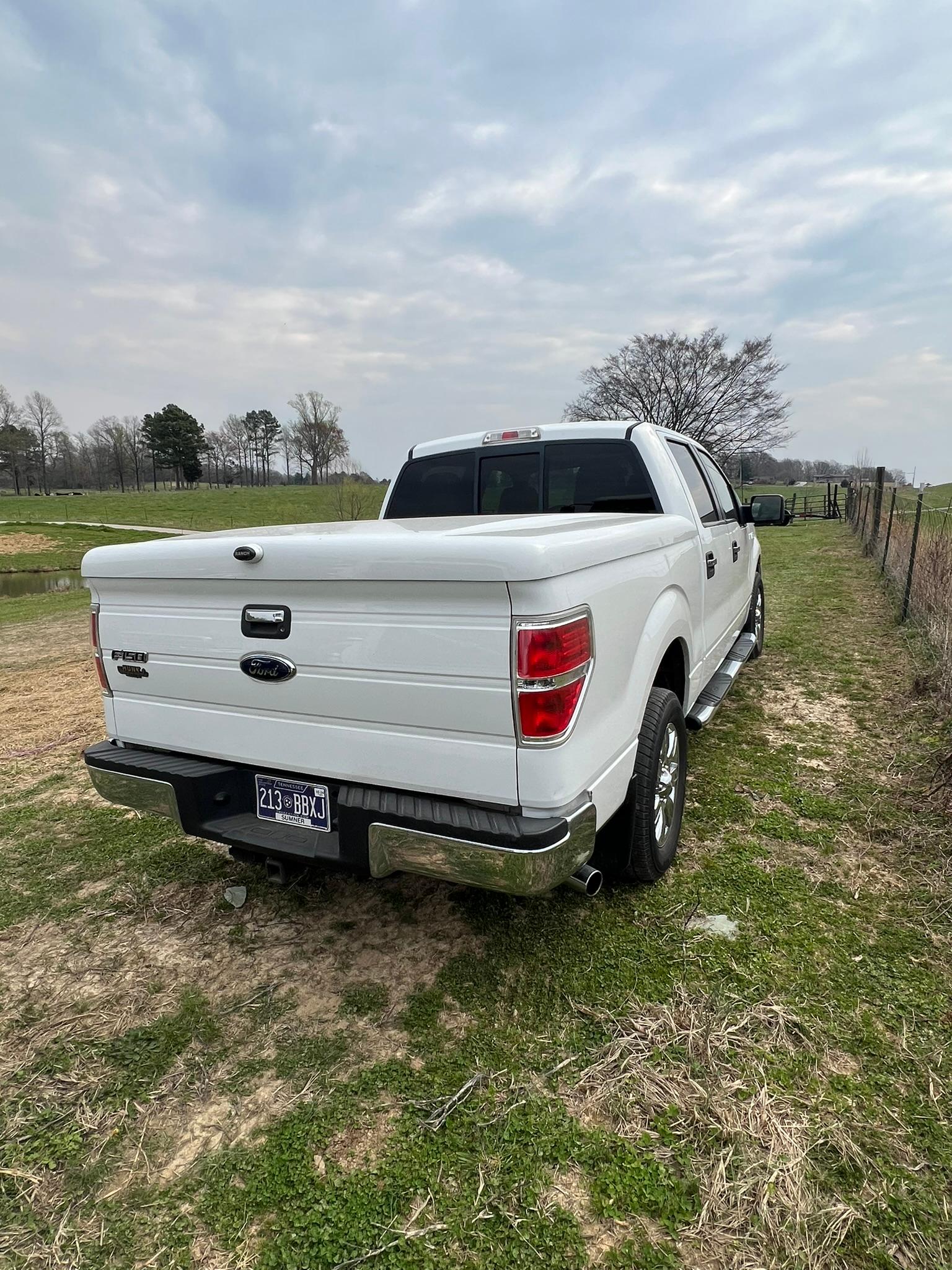 2010 Ford F-150