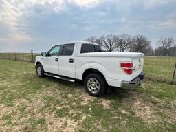 2010 Ford F-150