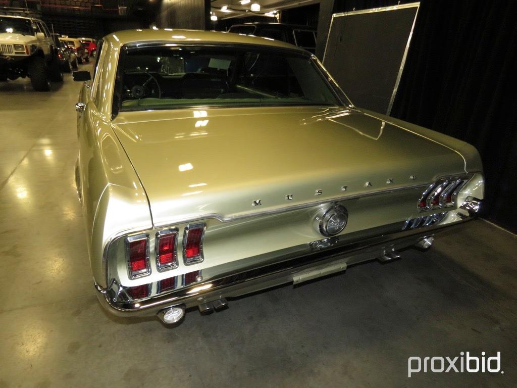 1967 Ford Mustang   NO RESERVE