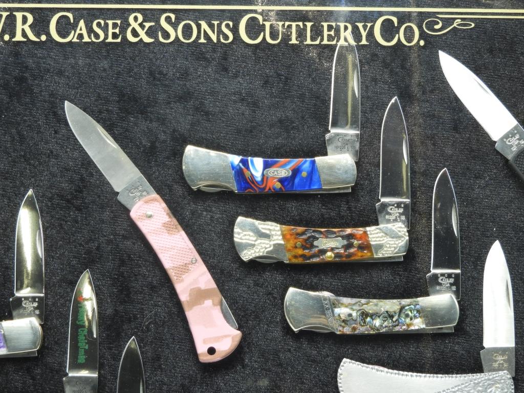 Case Collector Knife Set w/ display box & 15 knive