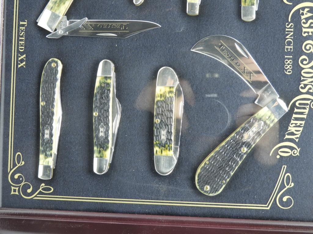 Case Collector Knife Set, 8 matching knives, 13"x1