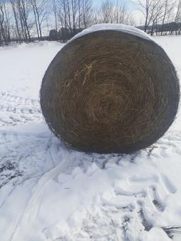 Hay - 25 Bales