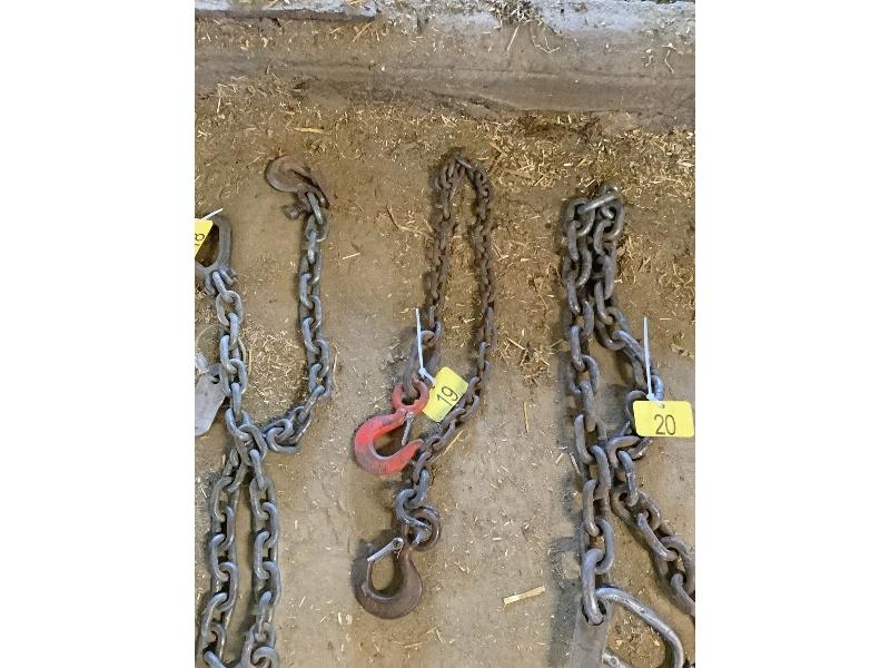 54" Chain 2 Hooks
