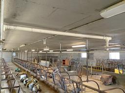 1 1/2" Stainless Steel Milk Line - 200'