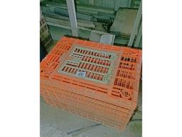 2 Chicken Crates