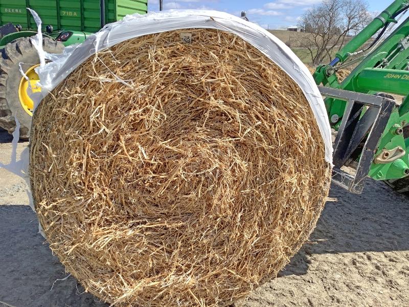 13- 4'x5' Wrapped Bales of Soybean Straw