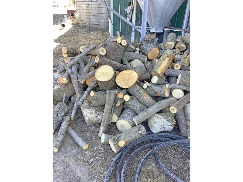 Pile of Fire Wood - Help For Loading