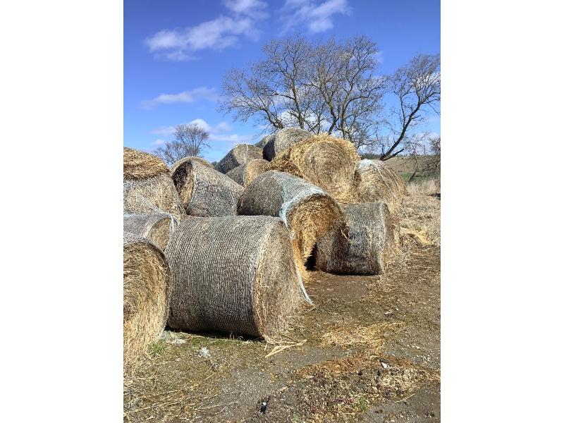 42 - 4'x5' Round Bales of 2023 1st Cut Hay Stored Outside