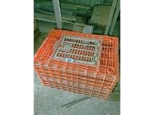 2 Chicken Crates