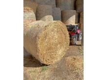 10 Bales 4x5 of Rotary Hard Red Wheat Straw