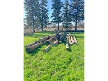 18 Hydro Poles - Mostly 24 - 30'