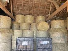 10 Bales of 4 x 4 Hardcore Second Cut Dry Bales of Hay