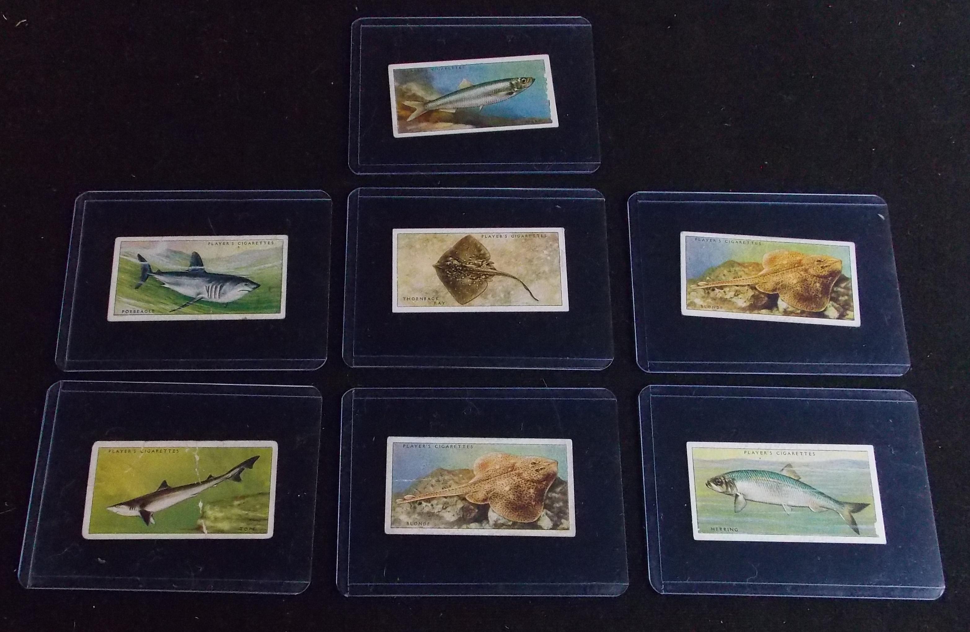 Lot of John Player & Sons "Sea Fishes" Tobacco Cards