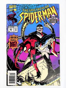 The Spectacular Spider-Man, Vol. 1 # 221