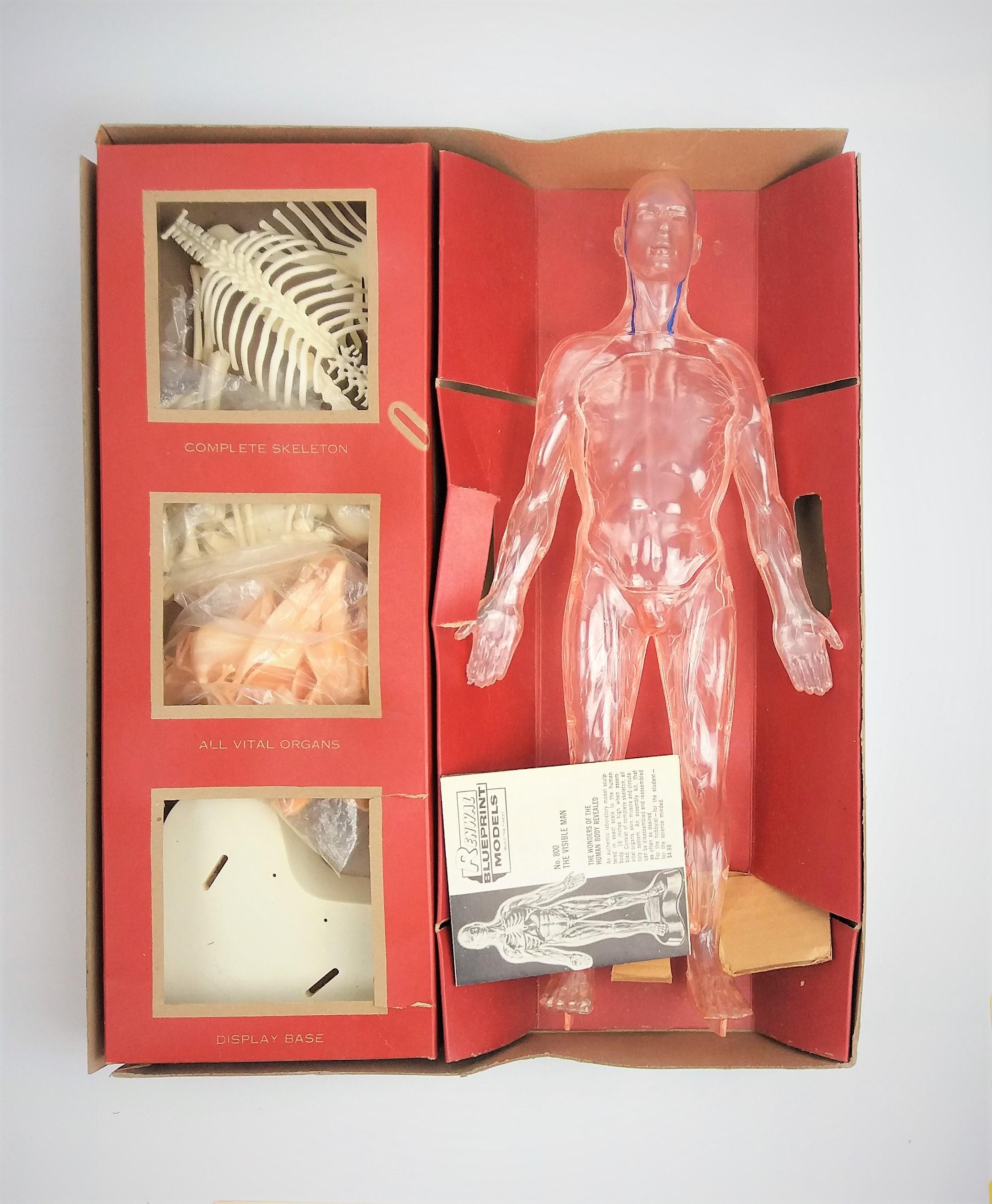 Vintage Renwal Visible Man Toy Anatomical Model Kit