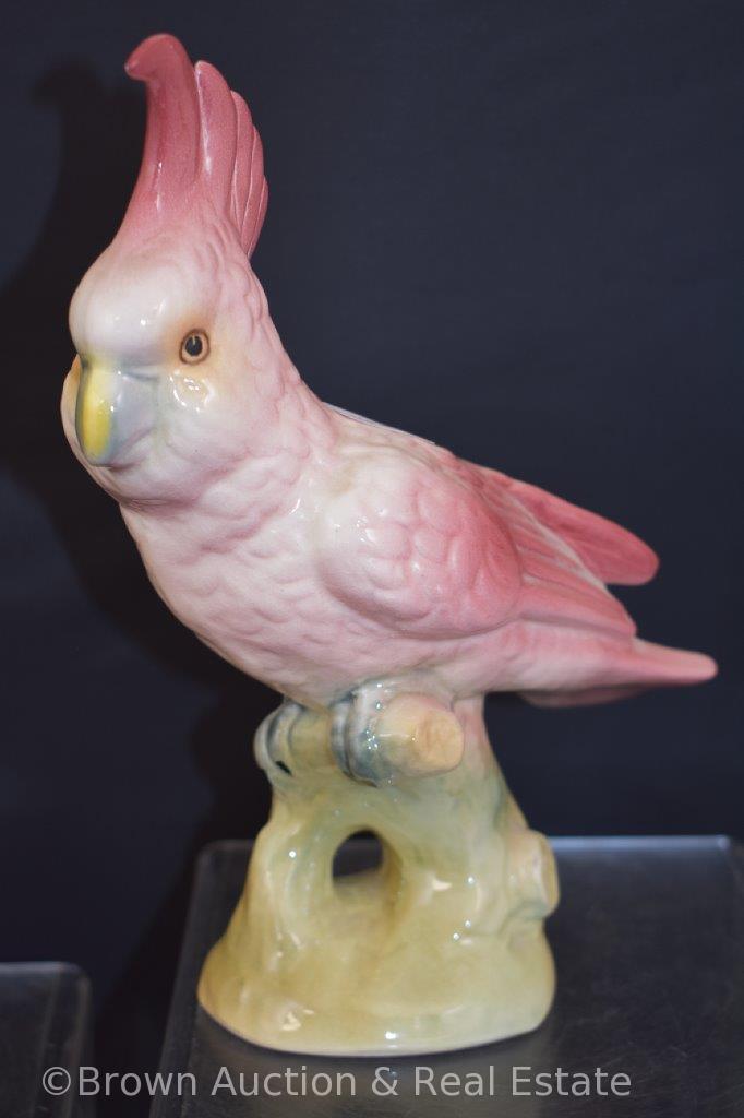 (2) Brad Keeler pink cockatoos