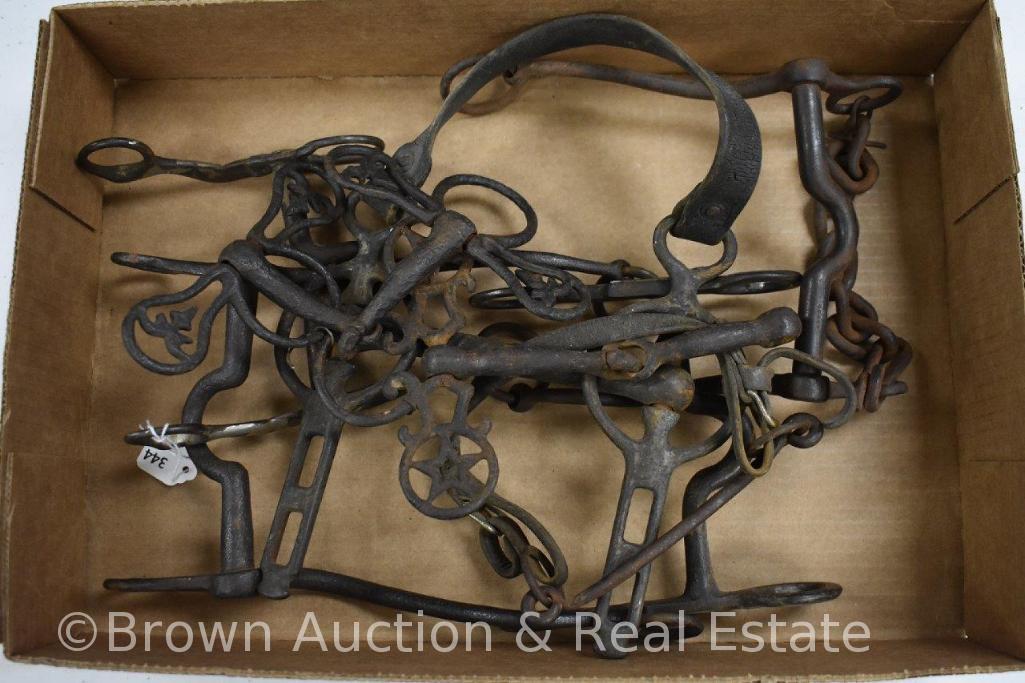 Assortment of old horse bridle bits