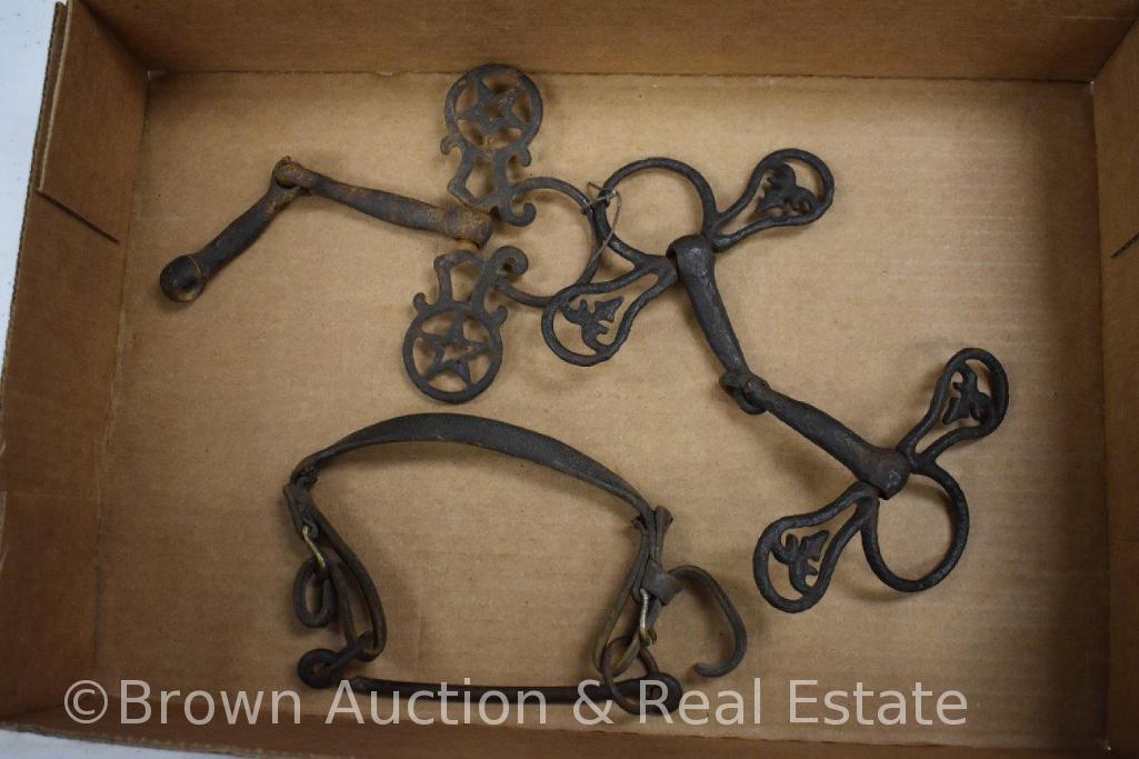 Assortment of old horse bridle bits