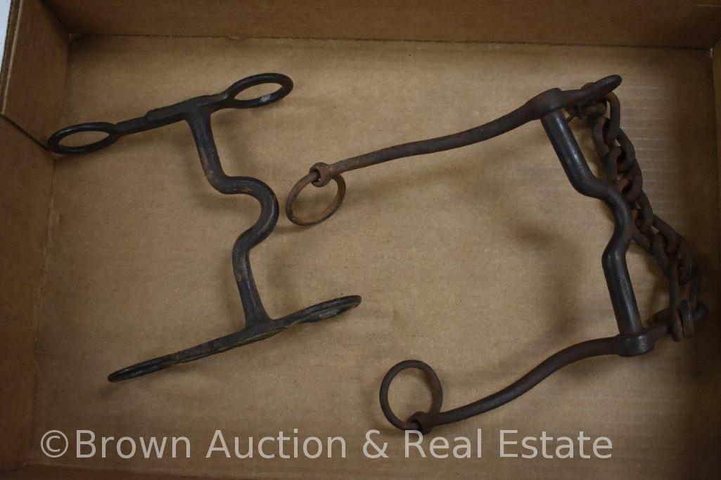 Assortment of old horse bridle bits