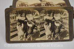 Approx. (40) stereoscope view cards