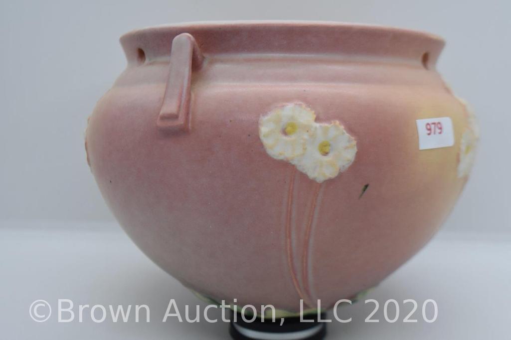 Roseville Primrose 354-6" hanging basket, pink