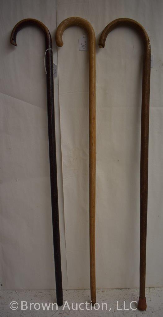 (3) Wood canes