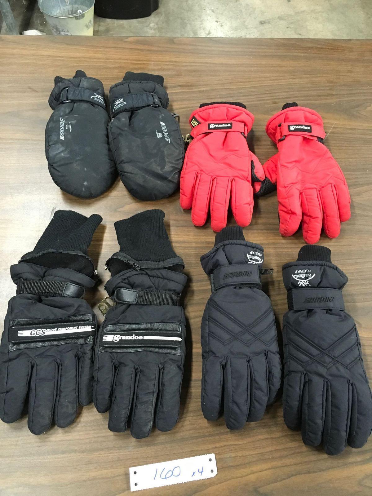 Ski Gloves