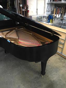 Beautiful Steinway & Sons Player Piano - New York Hamburg B 568989