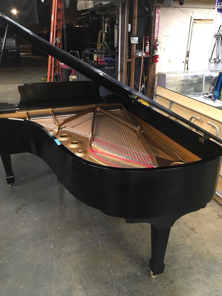 Beautiful Steinway & Sons Player Piano - New York Hamburg B 568989