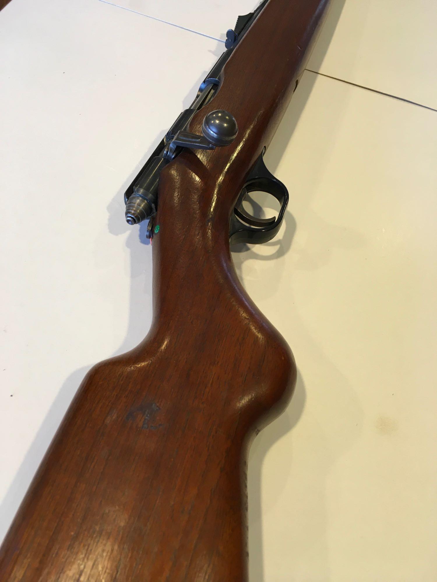 Hawthorne Warrior model M820B 22 Cal Rifle