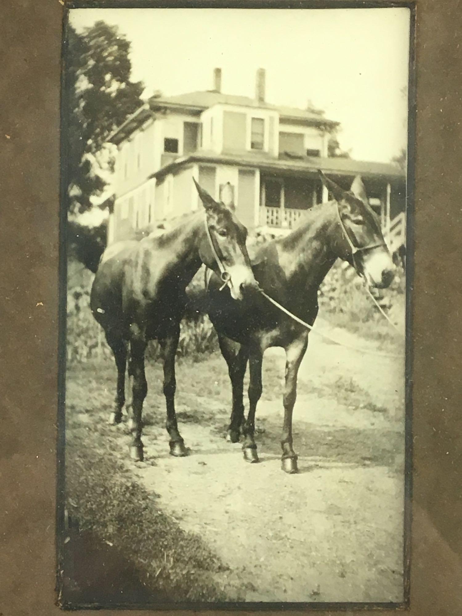 Framed Photo of Horse & Buggy circa 1910