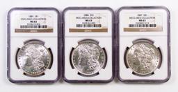 Lot of (3) Morgan Silver Dollars all (NGC) MS63.