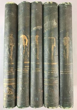 Group of 5 antique Dickens Works Volumes