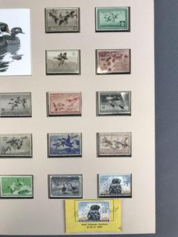 Vintage (1935-1960) Matted Migratory Bird Hunting Stamp Collection